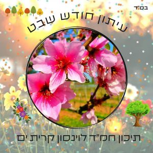 שבט1